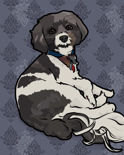 Pet Portrait