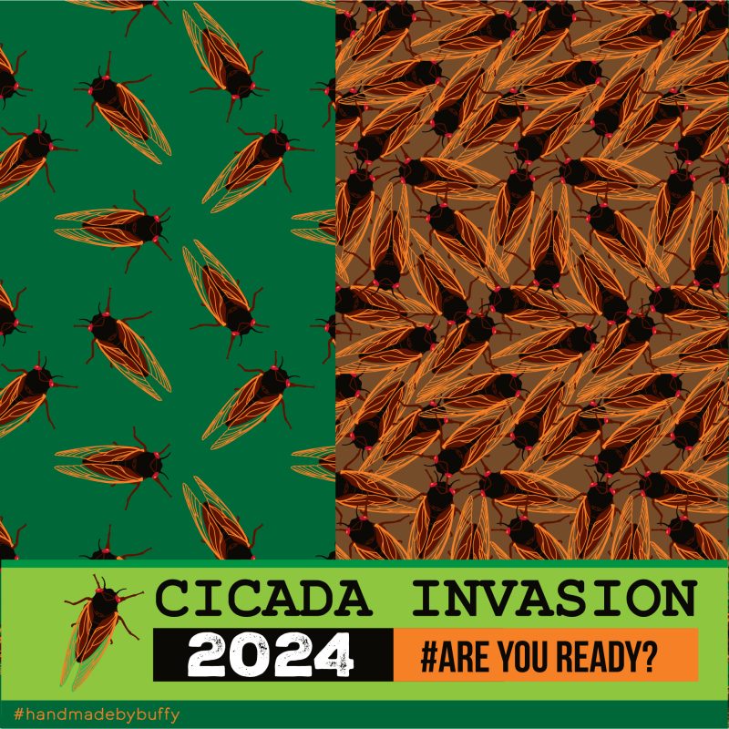 Cicada Invasion 2024